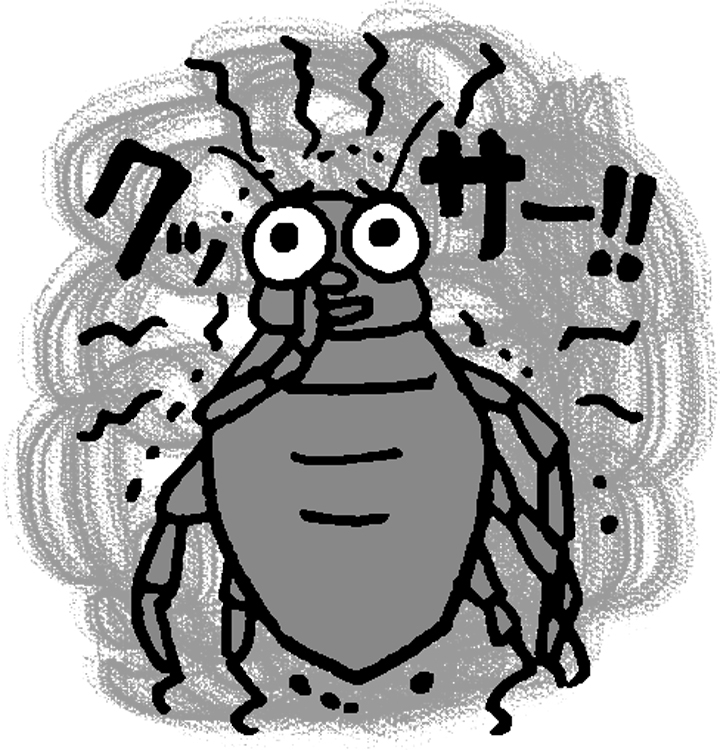強烈なにおいを放つカメムシ