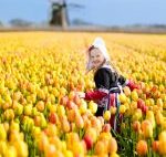 子どもが幸せの国、オランダの幼児教育法「ピラミッドメソッド」!