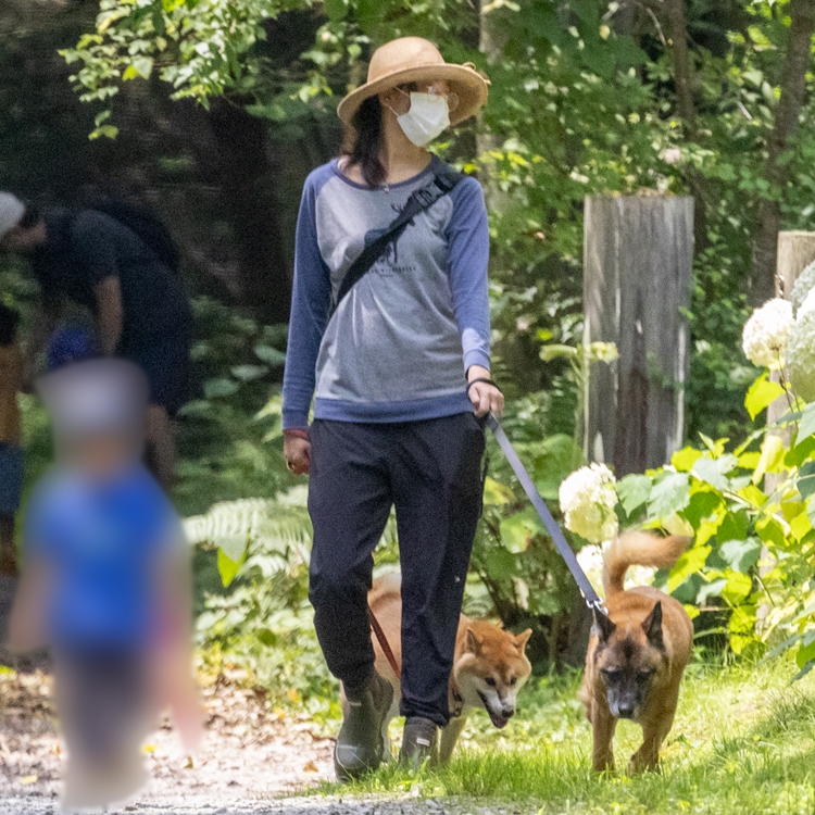 犬と子供を連れ、緑あふれる道を歩く