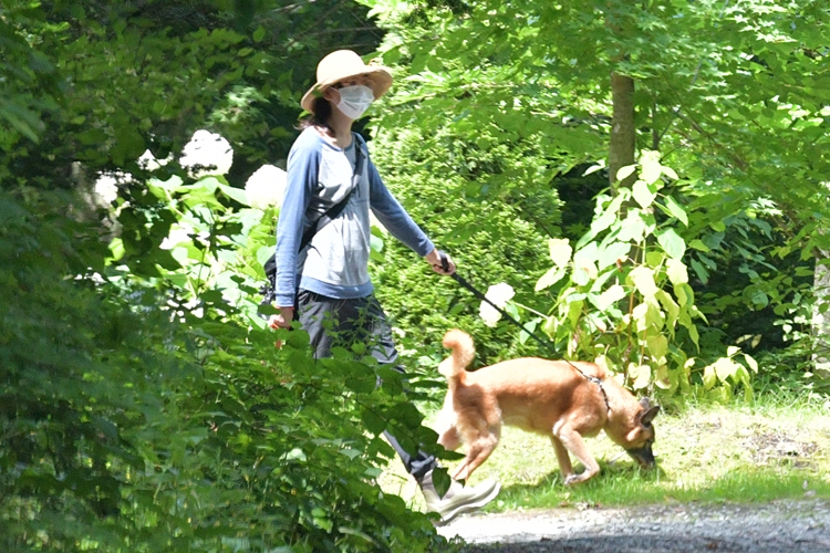 愛犬のリードもしっかり握る