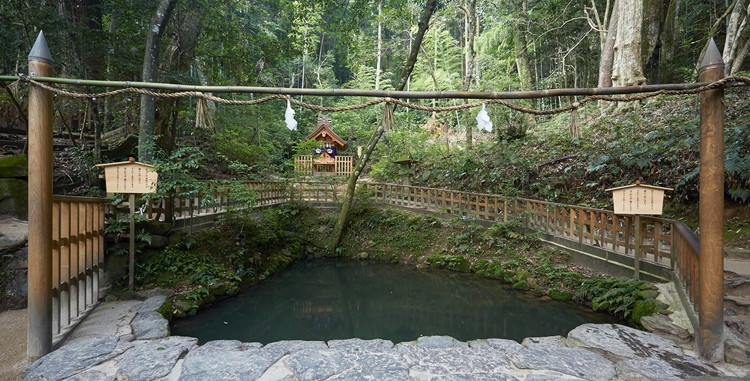 全国から縁結びのご利益を求めて参拝者が殺到する(写真/八重垣神社・鏡の池提供)