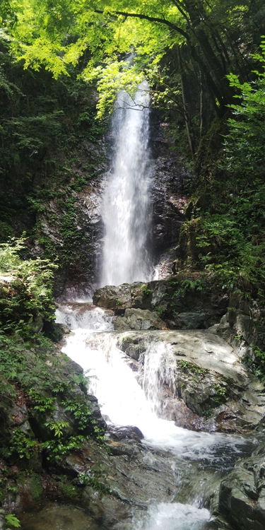 都心から車で2時間ほどで行ける払沢の滝（写真／檜原村観光協会）