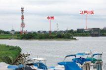 江戸川区と市川市がしのぎを削る