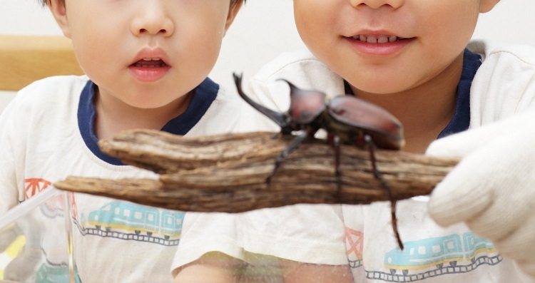 夏休みを楽しみ方は現代の子供では…