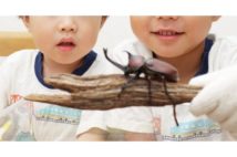 昔の子供と今の子供、「夏休み」はこんなに変化した