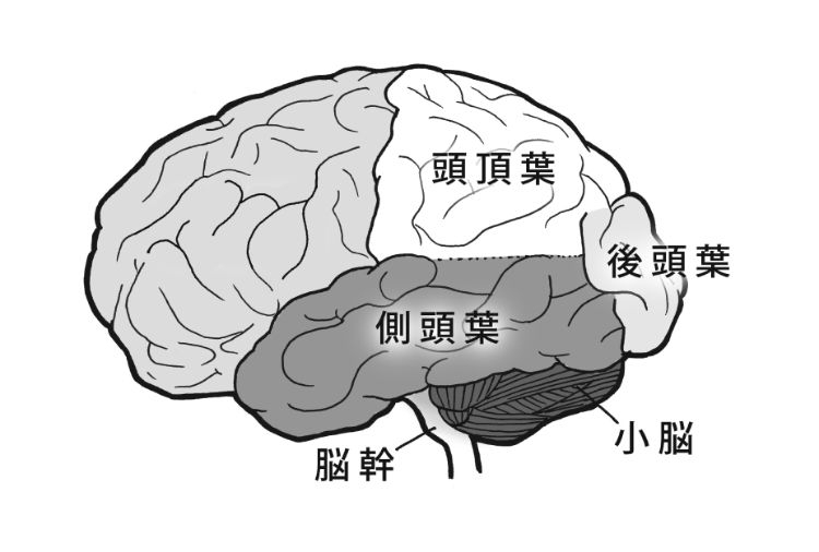 キレやすくならないために 前頭葉の若さを保つ5ステップ Newsポストセブン