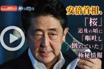 【動画】安倍首相、「桜」追及の頃に「嘔吐し倒れていた」極秘情報