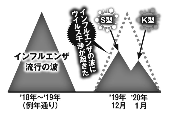 インフルエンザ流行へのウイルス干渉