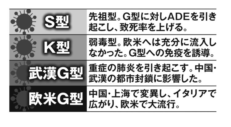 新型コロナウイルスの主な4タイプ