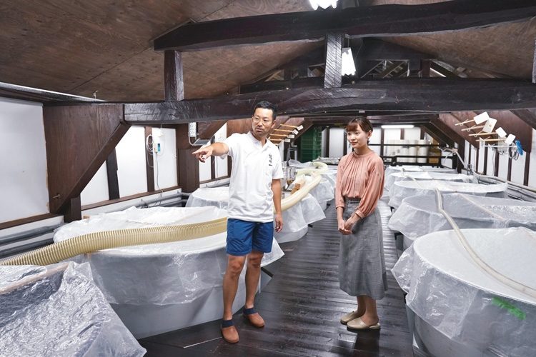 宮城テレビ放送の白壁里沙子アナが1712年創業の大沼酒造店を訪問