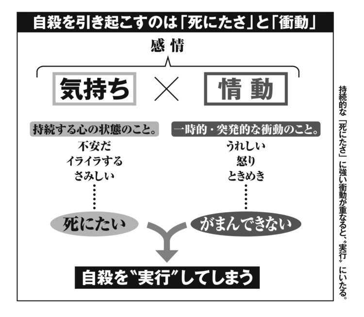 感情 理性 と