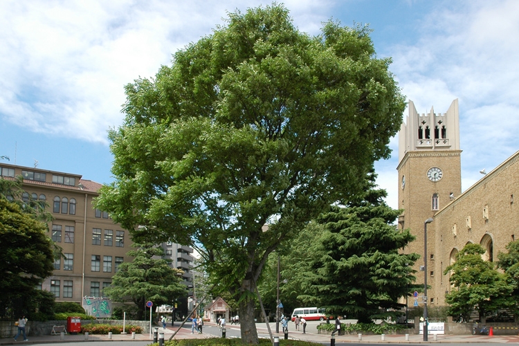 私学の雄、早稲田大学（時事通信フォト）