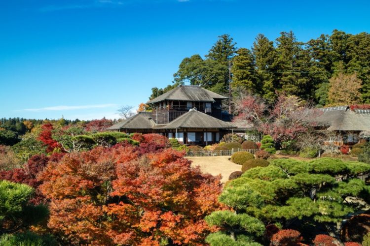 水戸の偕楽園は梅の季節に限らず風光明媚な姿を見せる