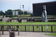 東京競馬場