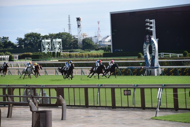 東京競馬場1600mは底力が問われる