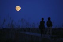 秋の風物詩「中秋の名月」空が高く澄み月がよく見えるのはなぜ?
