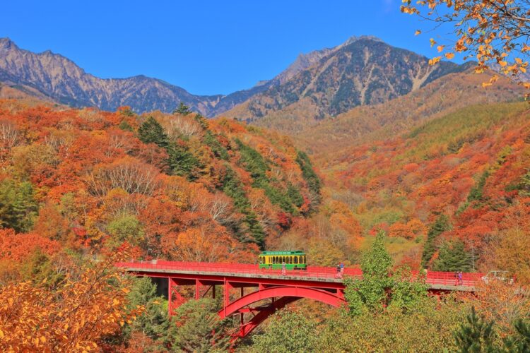 橋と八ヶ岳