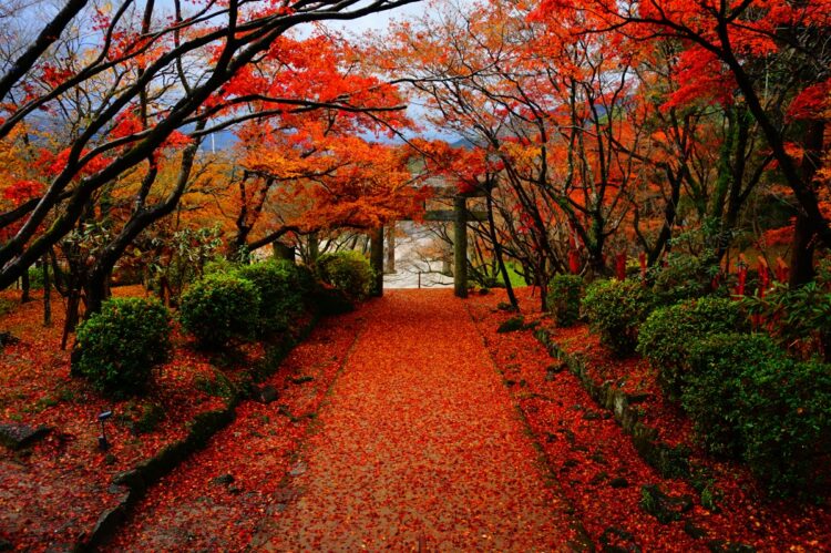 『鬼滅』の聖地（写真提供／竈門神社）