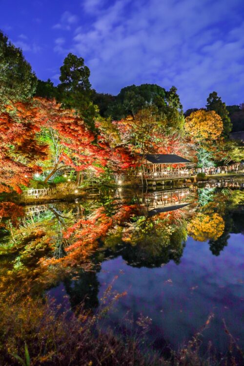 植物園で水面に映る秋の風物詩