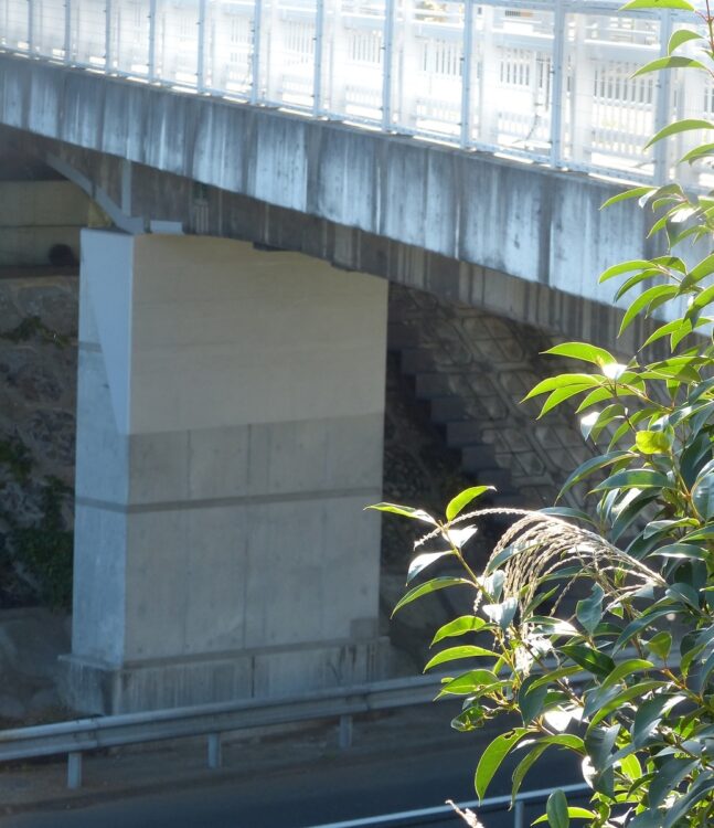 橋を支えているはずの橋脚に鉄筋が不足していた施工不良があったとNEXCO中日本も認めた。