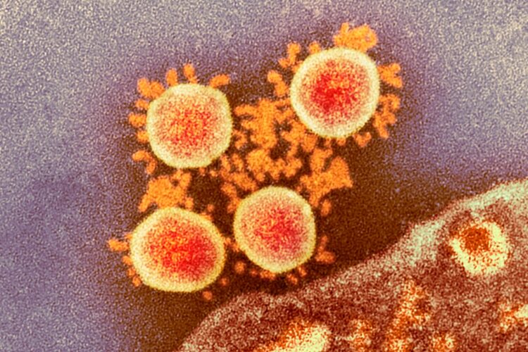 感染力を強化した変異型ウイルスが蔓延している可能性が（写真／アフロ）