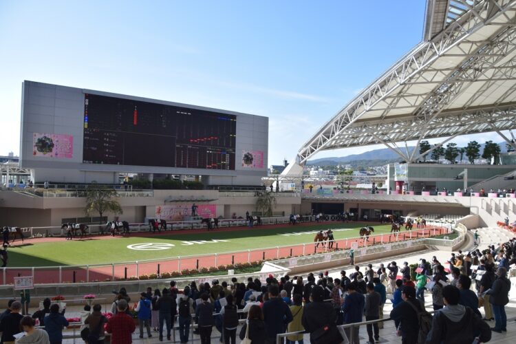 阪神競馬場のパドック