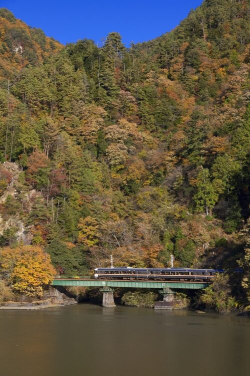 紅葉のJR飯田線を走る秘境駅号と天竜川（時事通信フォト）