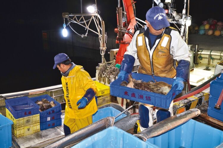 午前1時に漁に出て、獲った魚は船上で活け締めにし、午前4時に帰港。車で1時間の距離にある函館の市場に魚を卸し、戻ると朝食もとらずに血抜きやワタ取りなどの下処理を行い、当日中に出荷する