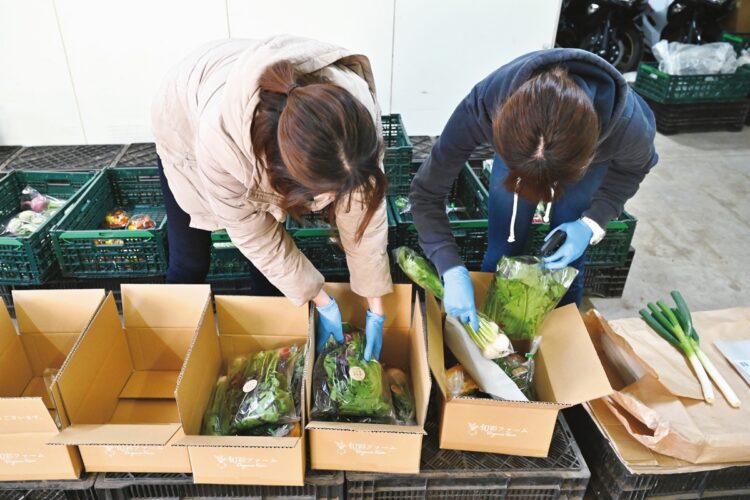 人気は旬の野菜が5～7品目入った「旬彩野菜セット」（Sサイズ2484円、送料別）や「旬彩サラダセット」（1598円、送料別）。発送作業は妹の由佳さんが中心になって行う