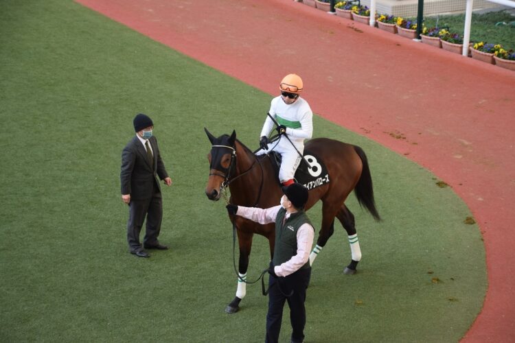 阪神競馬場のパドックで管理馬と