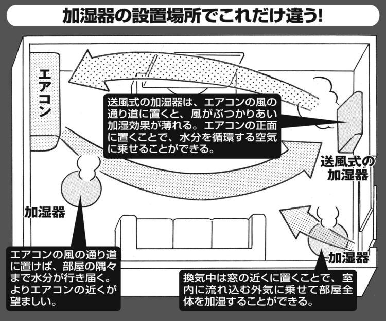 加湿器の置き場所にも工夫が必要（イラスト／黒木督之）