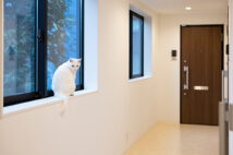 保護猫と暮らす三軒茶屋の「サンチャコ」。地域と人とを結ぶ新しい暮らし方
