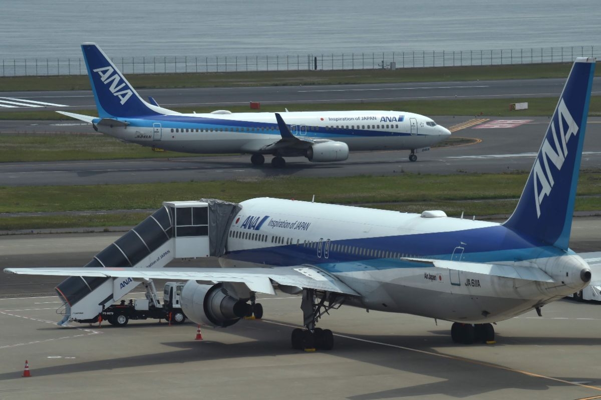 苦境の全日空、航空貨物に活路「飛び続けることが大事」｜NEWS