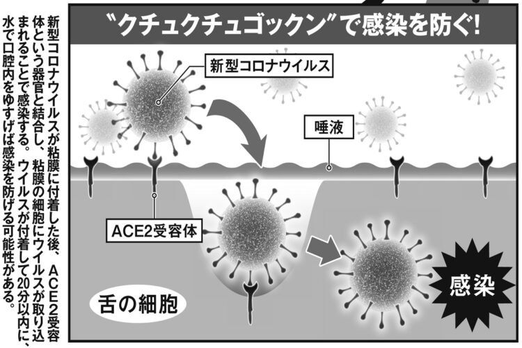 新型コロナに有効な場合も