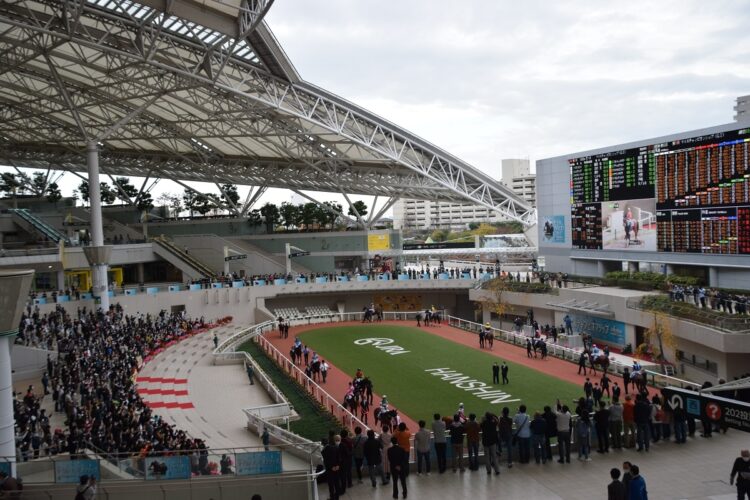 阪神競馬場のパドック