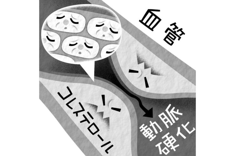 老化細胞の除去が体にどう影響するか（イラスト／いかわ やすとし）