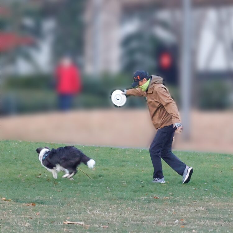 渡辺謙が構えるフリスビーを愛犬が喜んでいる（2020年）