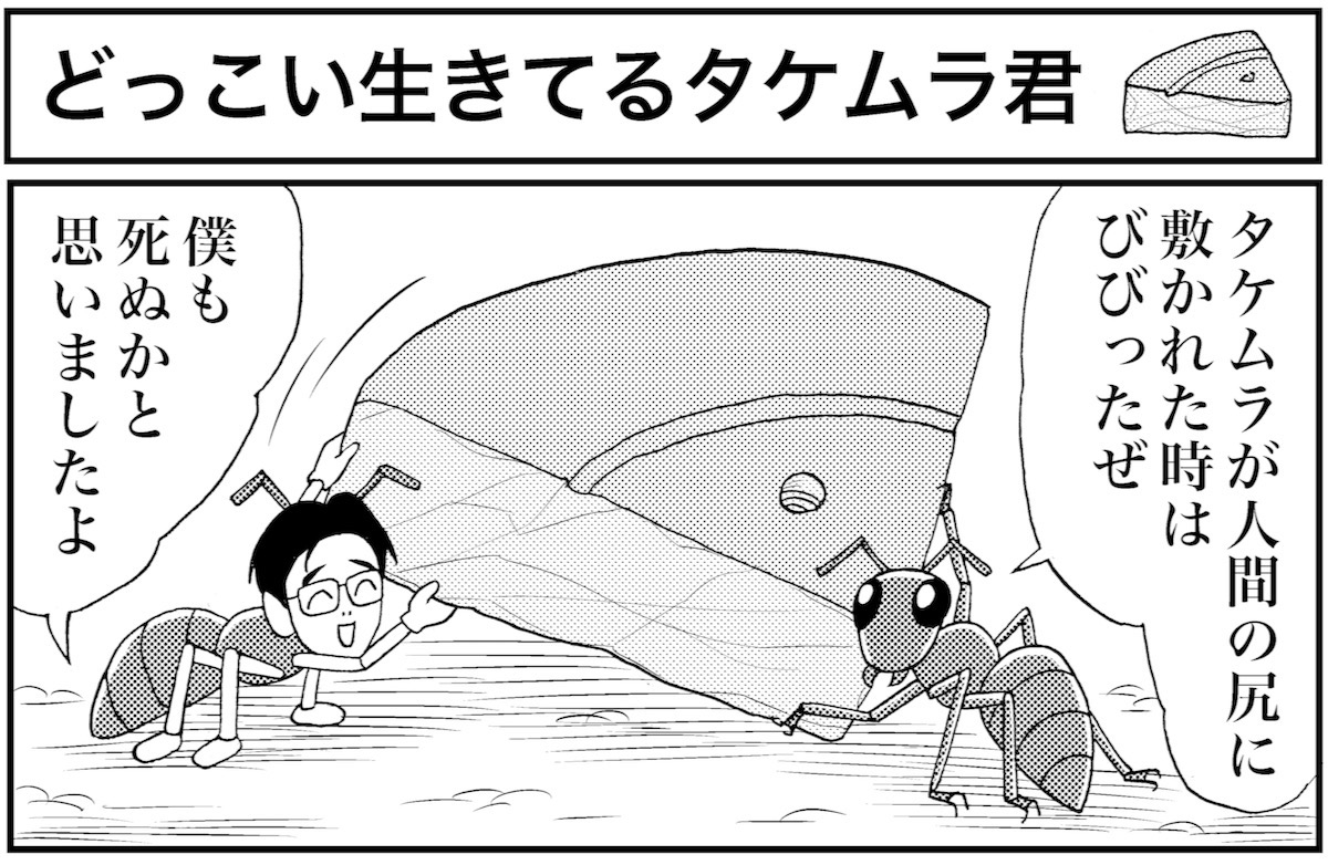 業田良家の4こわ漫画 Season 1 Newsポストセブン 業田良家の4こわ漫画 Season 1 Newsポストセブン