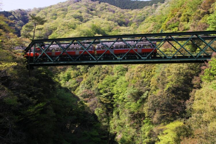 復旧した箱根登山鉄道（早稲田大学鉄道研究会）