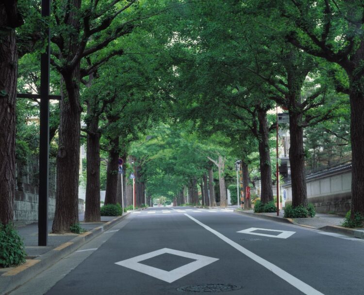 田園調布のブランド力も衰え始めているのか（時事）