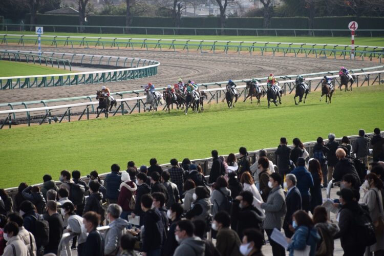 中山競馬場