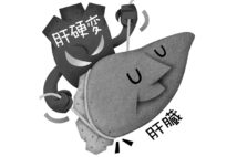 肝機能回復を目指す薬の治験が開始(イラスト/いかわ やすとし)