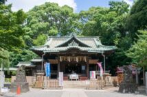 新宿から5分、渋谷からも歩ける「代々木八幡」、交通至便の街に死角はないか?