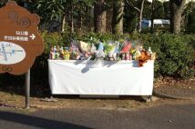 小4交通事故死 現場から30分の病院搬送は「たらい回し」だったのか