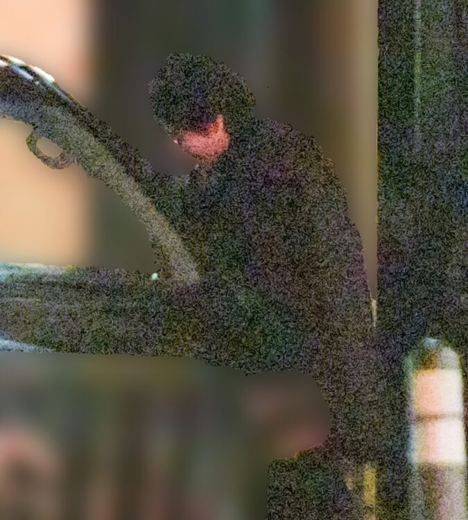 極秘会食だった