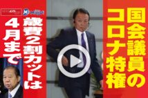動画 二階幹事長が着用して話題 自民党マスク の正体 Newsポストセブン 動画 二階幹事長が着用して話題 自民党マスク の正体 Newsポストセブン