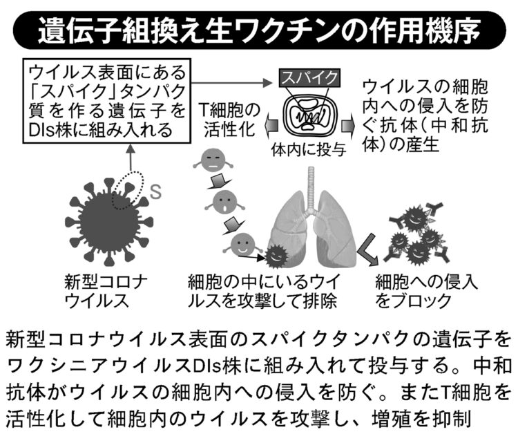 遺伝子組換え生ワクチンの作用機序