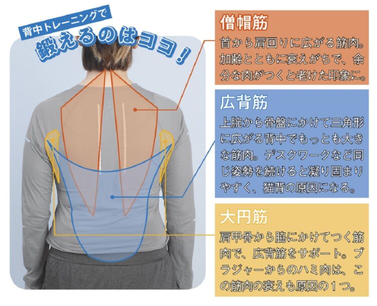 3つの筋肉とその周辺を重点的に鍛えよう