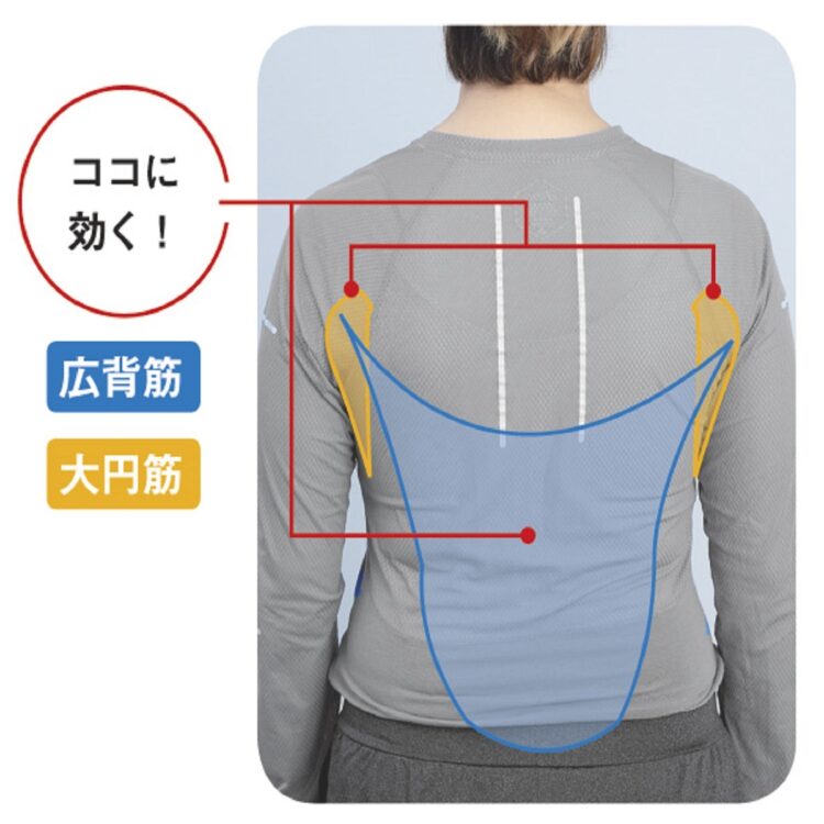 バストアップ効果も