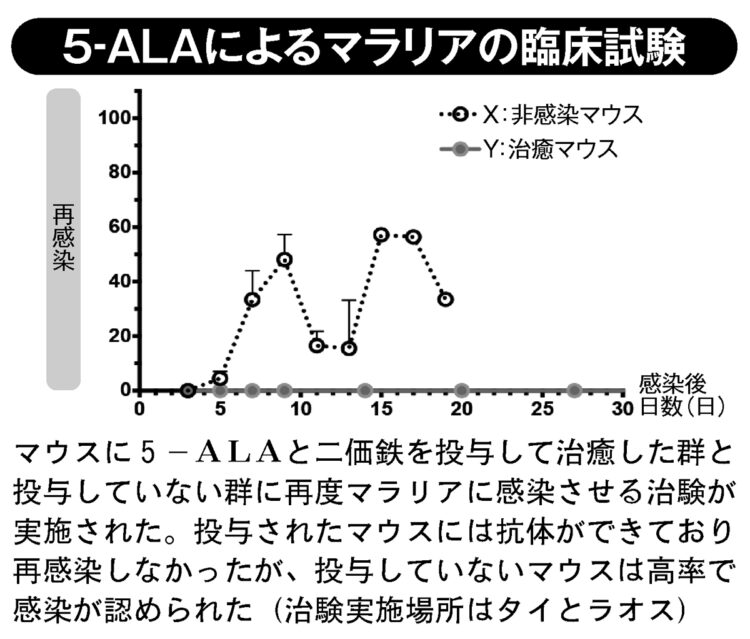 5-ALAによるマラリアの臨床試験